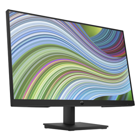 HP P22v G5 FHD Value Monitor (7N909AT)