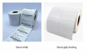 Giấy in nhiệt và decal nhiệt khác nhau thế nào?